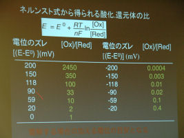 「電気化学測定の実際と応用（錯体化学）」 中央大学理工学部　教授　芳賀正明 先生