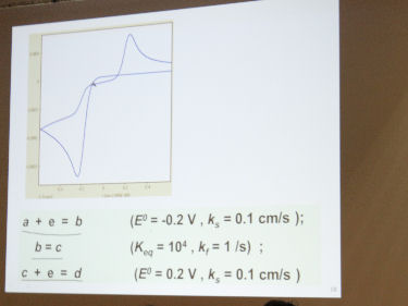 「電気化学計測の基礎的ポイント」 元東京大学工学部 助教授　渡辺 訓行 先生