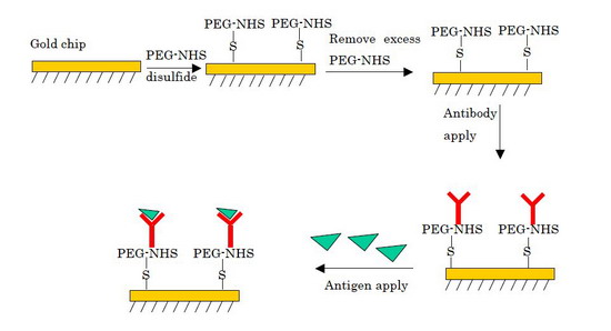 Fig.1 Flow of antigen-antibody interaction Fig.1 Flow of antigen-antibody interaction