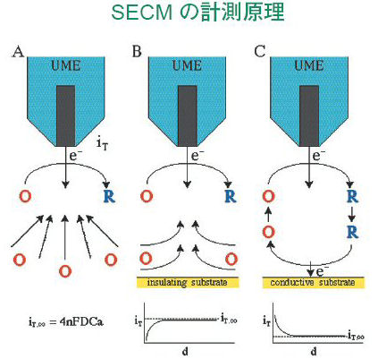  EC detection mechanism