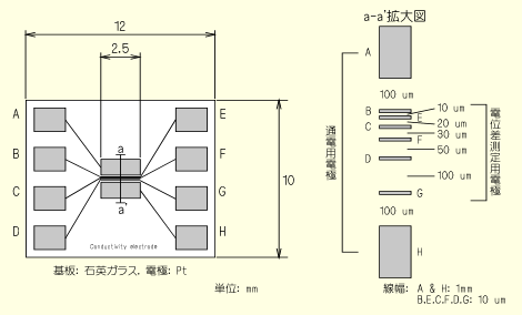 導電率測定用電極の概略図