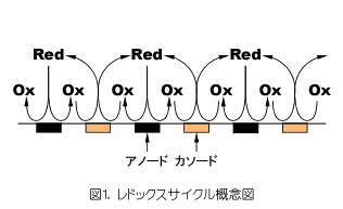 レドックスサイクルの概念図