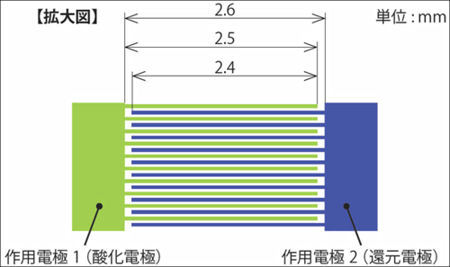 くし部分の拡大図