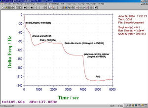 avidin、ethanol amine、BSA in PBS、Biotin-Allo A lectin、galactose-carrying polymer、PBSの順に添加し、周波数の差分を経時変化で表したもの
