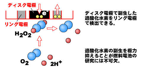 燃料電池の研究への応用