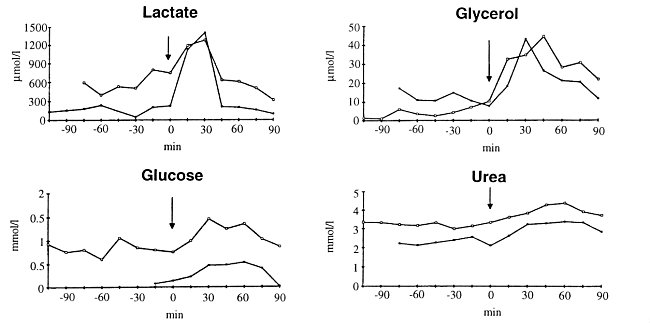 glycerol.jpg glycerol.jpg