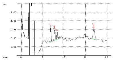 In Vitro Stand In Vitro Stand