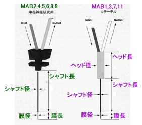 In Vitro Stand In Vitro Stand