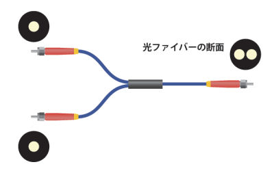 2分岐光ファイバーの構造